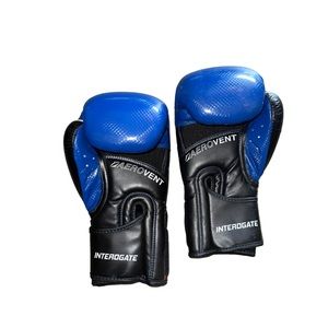 Title 14oz Men’s Boxing Gloves